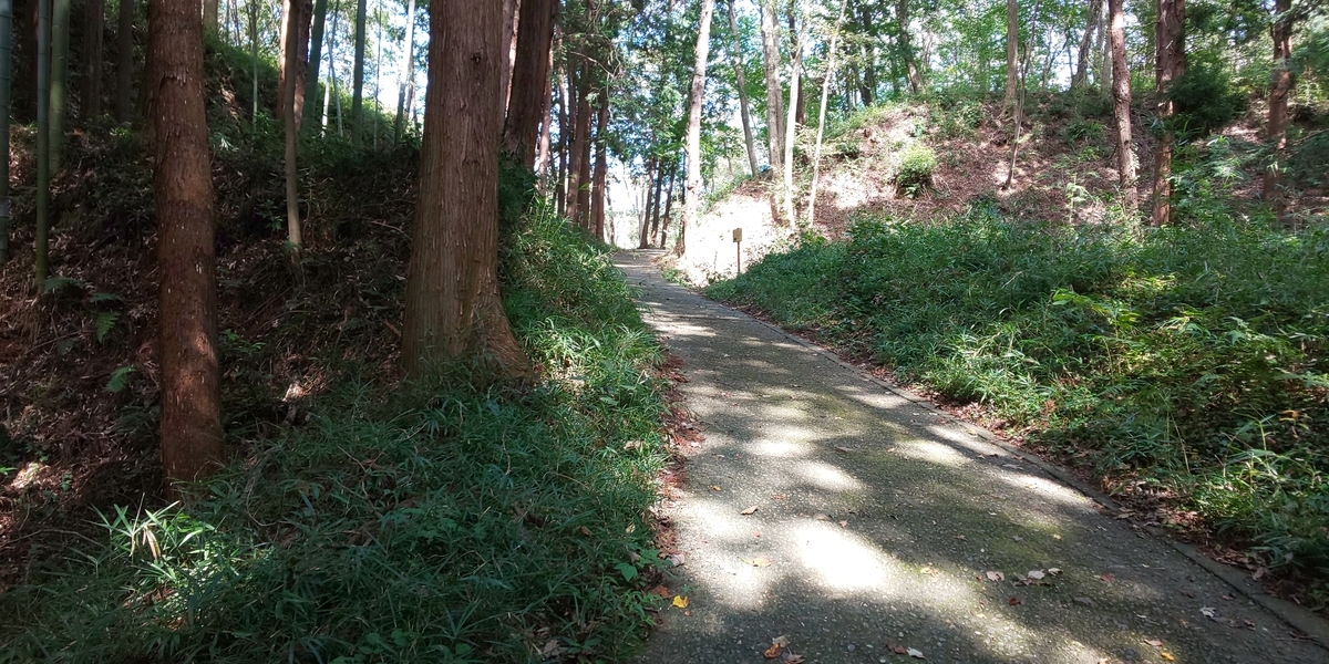 f:id:bitterharvest:20190925181110j:plain