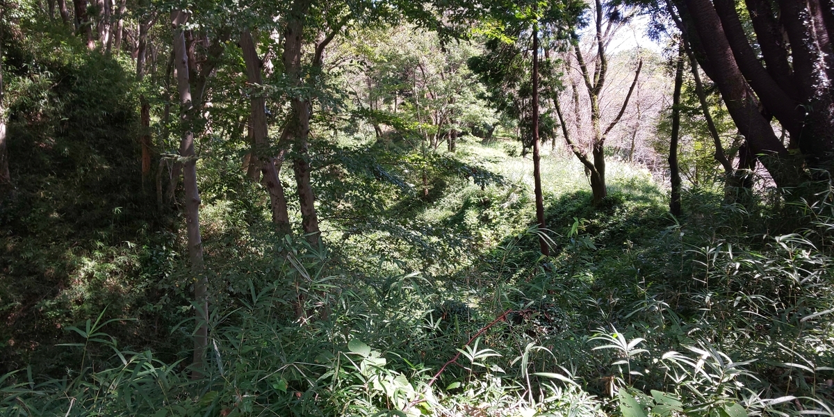 f:id:bitterharvest:20190925193350j:plain