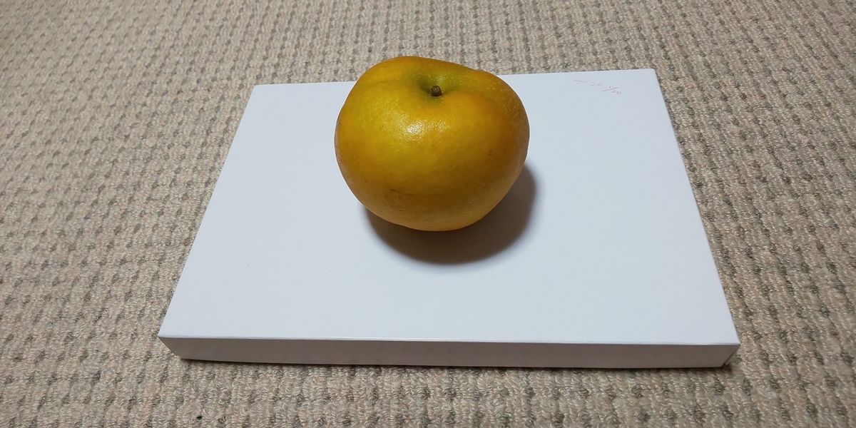 f:id:bitterharvest:20190928195531j:plain f:id:bitterharvest:20190928195531j:plain