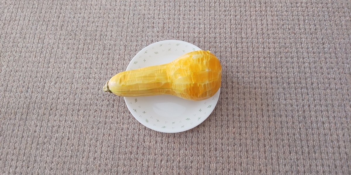 f:id:bitterharvest:20191011103022j:plain f:id:bitterharvest:20191011103022j:plain