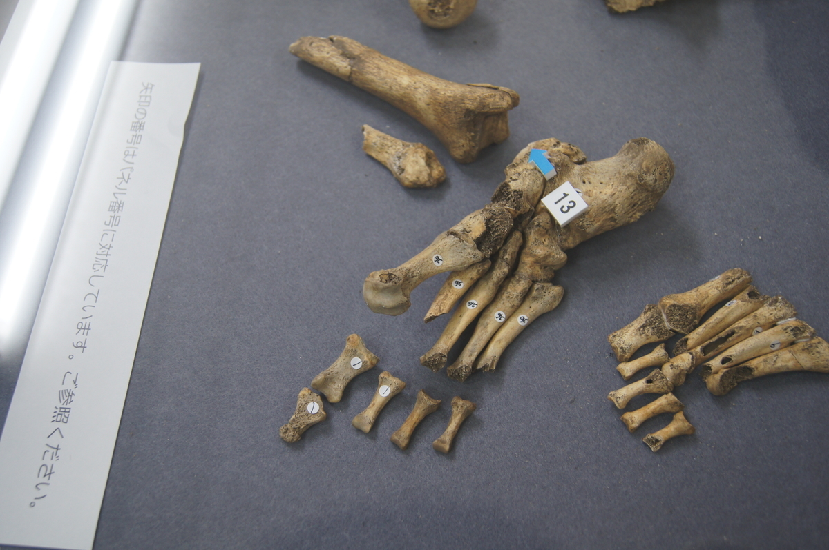 f:id:bitterharvest:20191126164220j:plain f:id:bitterharvest:20191126164220j:plain