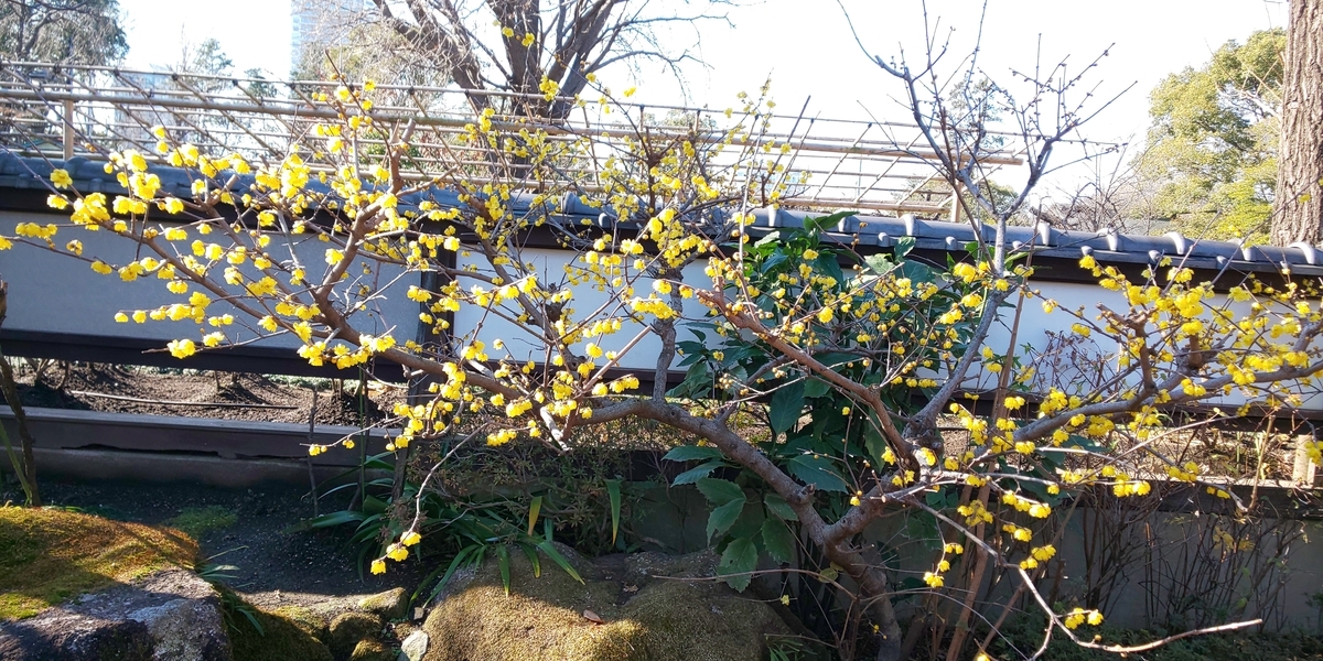 f:id:bitterharvest:20200123102723j:plain