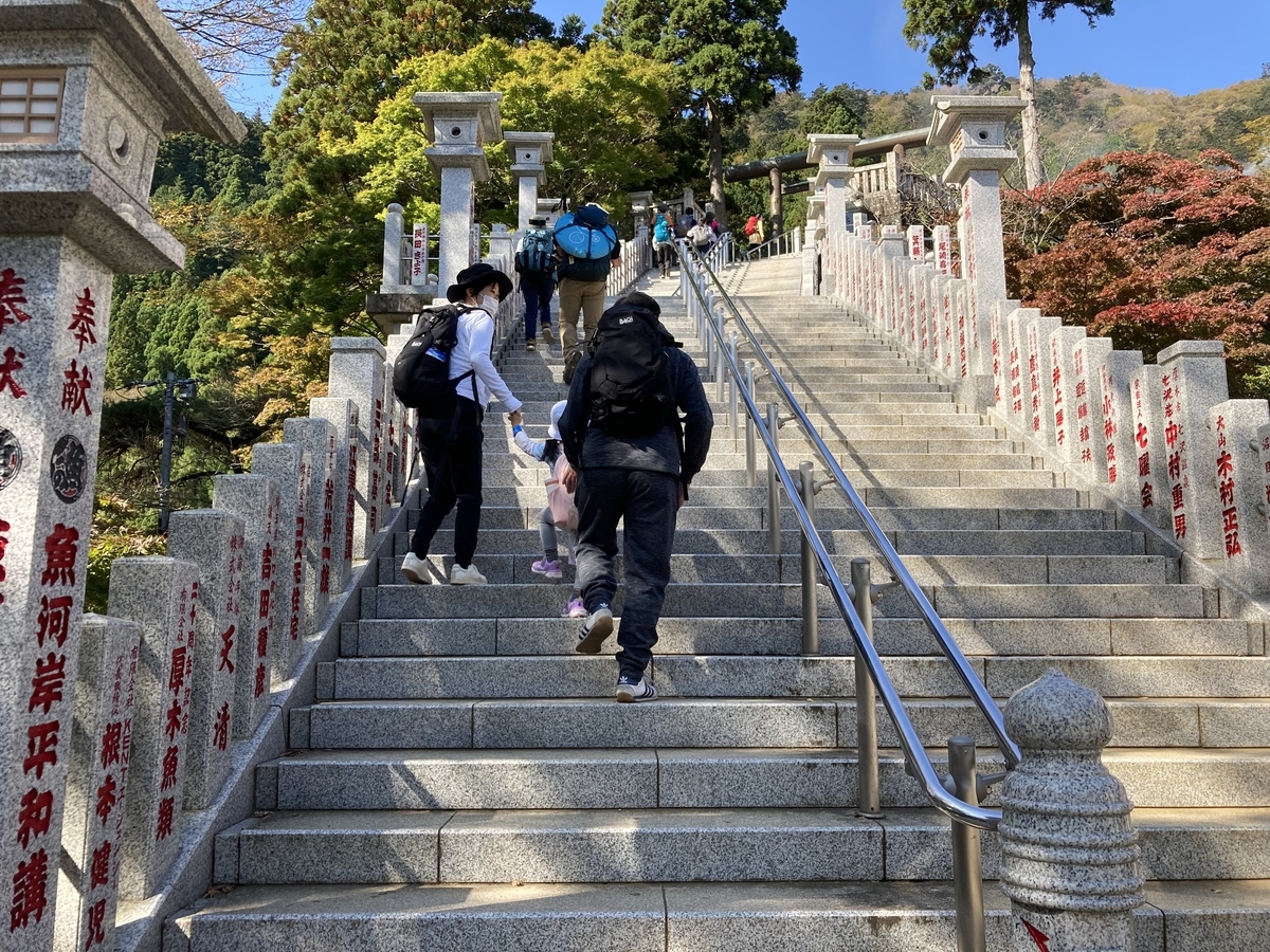 f:id:bitterharvest:20201102175139j:plain f:id:bitterharvest:20201102175139j:plain