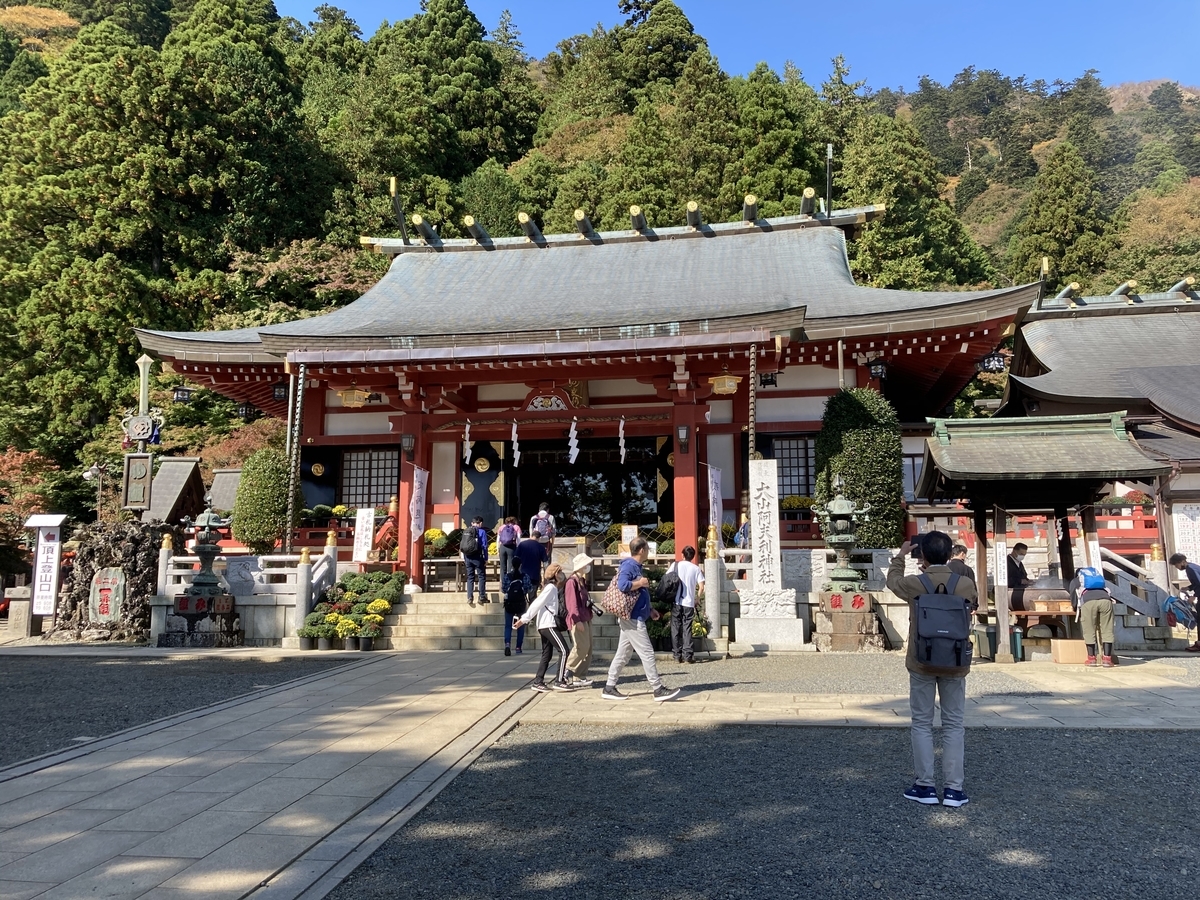 f:id:bitterharvest:20201102175315j:plain f:id:bitterharvest:20201102175315j:plain