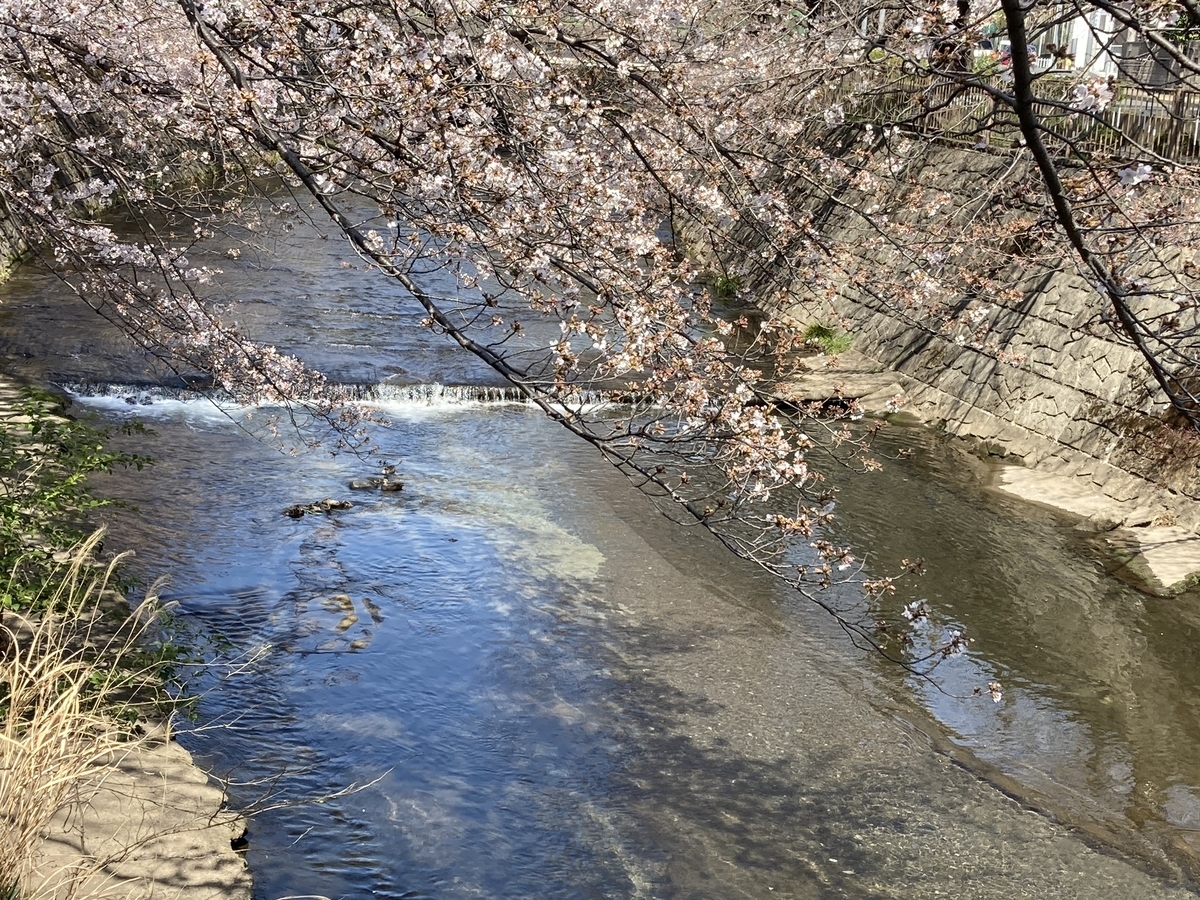 f:id:bitterharvest:20210324143842j:plain