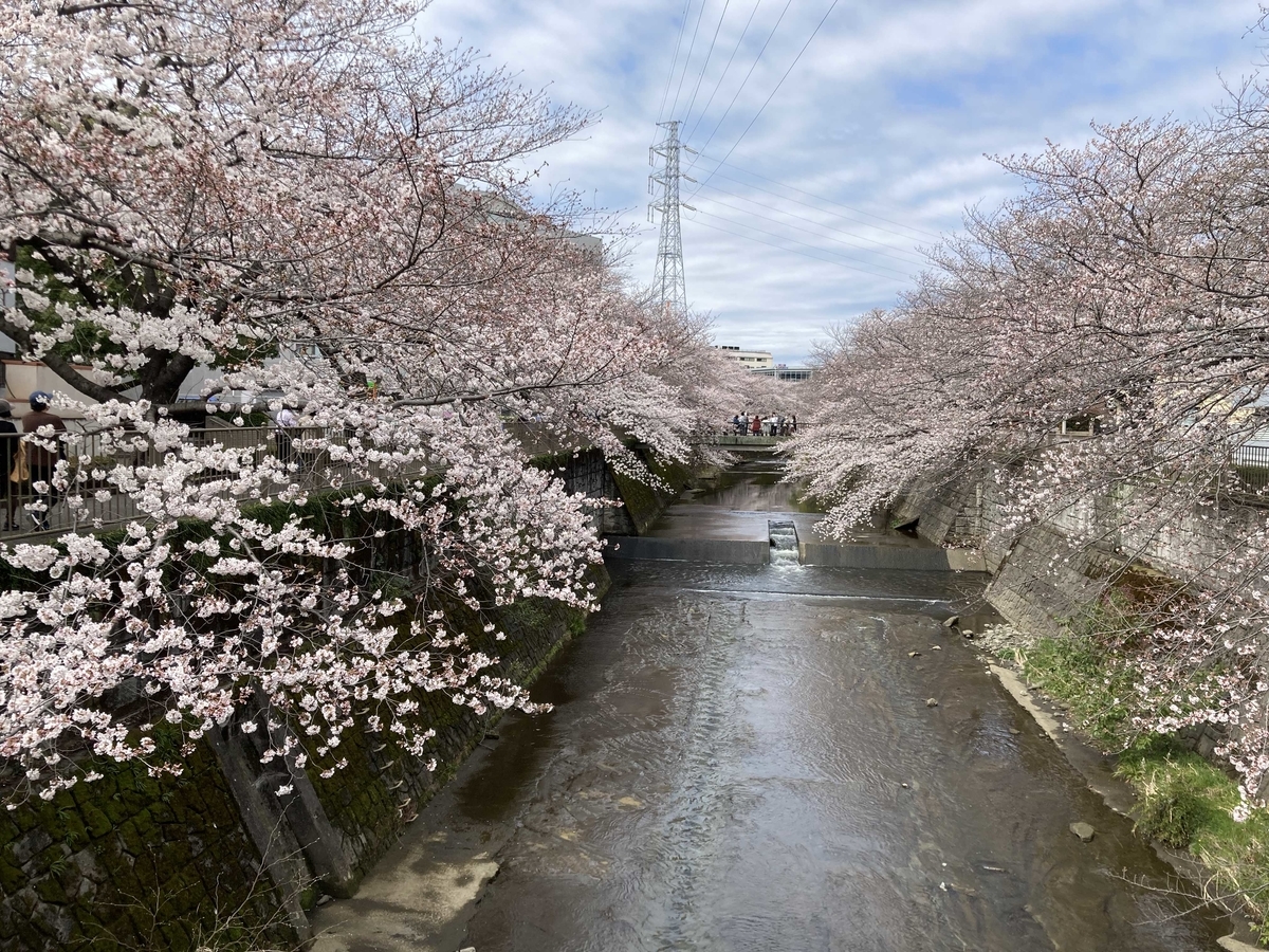 f:id:bitterharvest:20220411091130j:plain