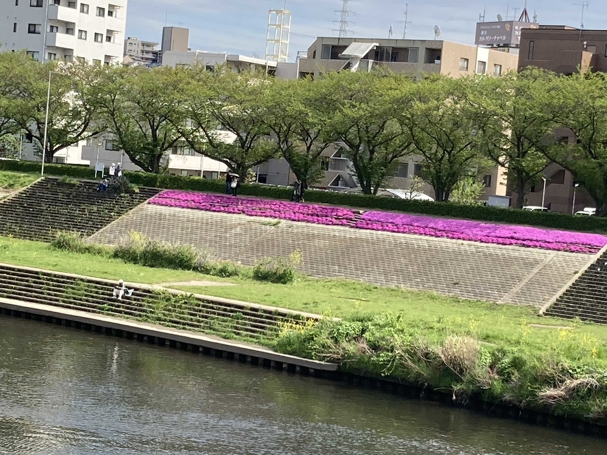 f:id:bitterharvest:20220416202701j:plain