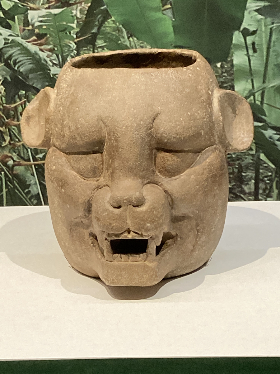 トーハクで特別展「古代メキシコ」を見学するー古代メキシコへの