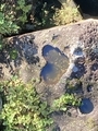 20241019104505