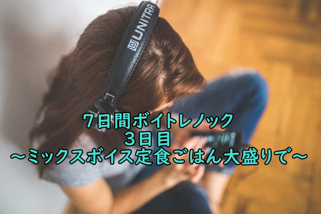 f:id:bitternautagoe:20180720201929j:plain