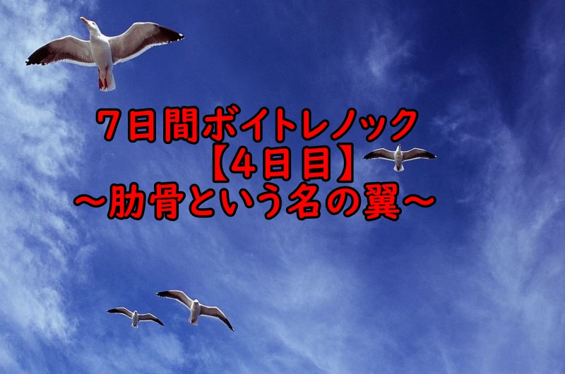 f:id:bitternautagoe:20180720232957j:plain