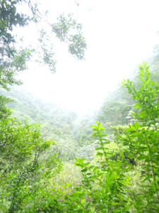 f:id:biwa-ko:20130102053110j:image f:id:biwa-ko:20130102053110j:image