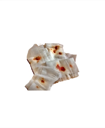 f:id:biwa621:20200530191856j:image f:id:biwa621:20200530191856j:image