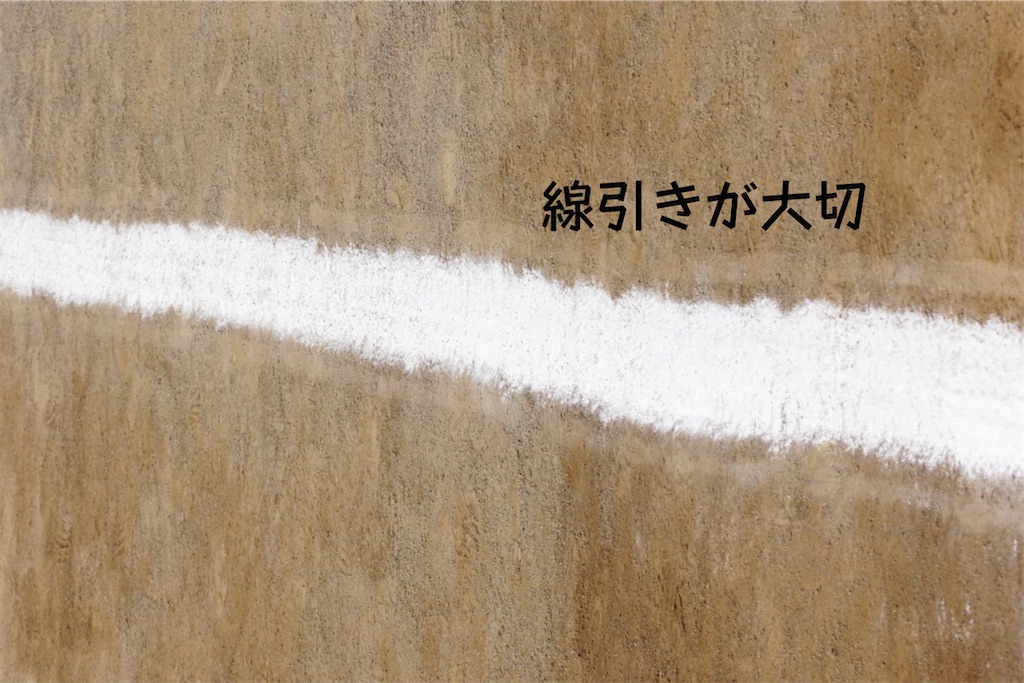 f:id:biwa621:20201014161918j:image f:id:biwa621:20201014161918j:image