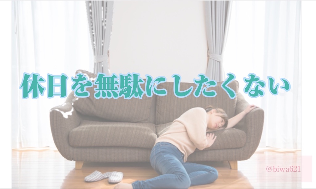 f:id:biwa621:20210530215656j:image f:id:biwa621:20210530215656j:image