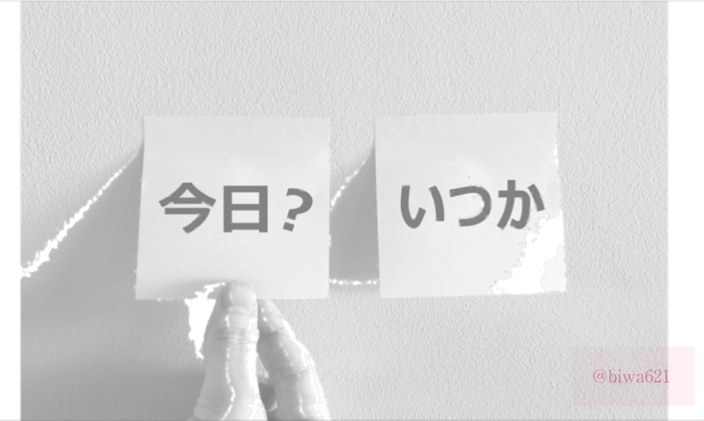 f:id:biwa621:20210530220955j:image f:id:biwa621:20210530220955j:image