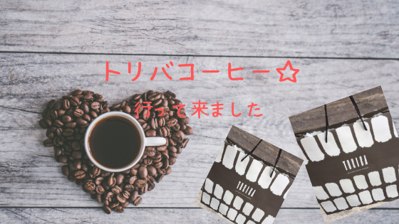 f:id:biyotaikensha:20190209142438p:plain