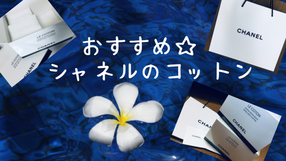 f:id:biyotaikensha:20190224192936p:plain