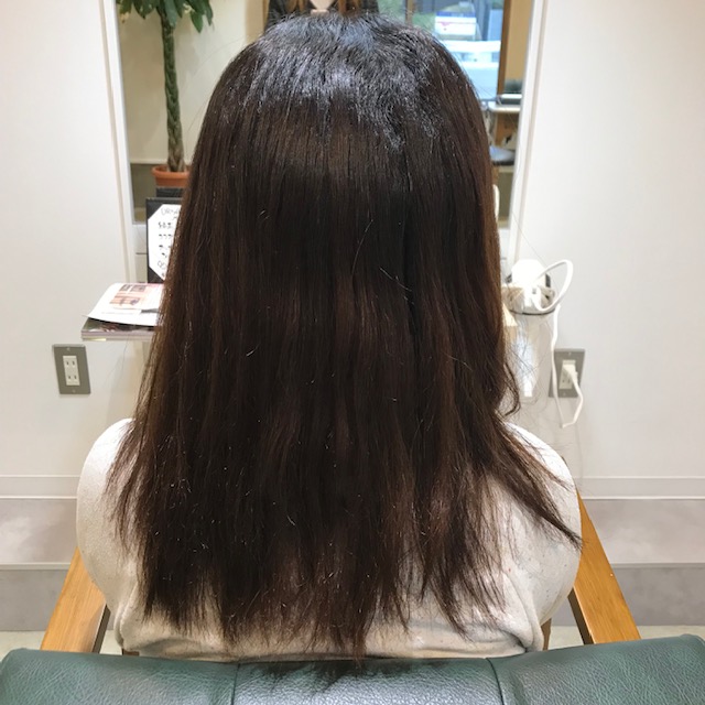 f:id:biyoulabo:20190405184504j:plain