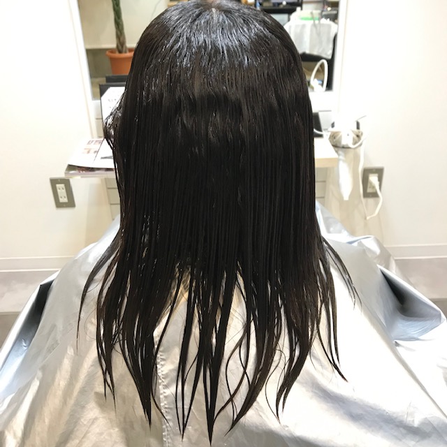 f:id:biyoulabo:20190408170117j:plain