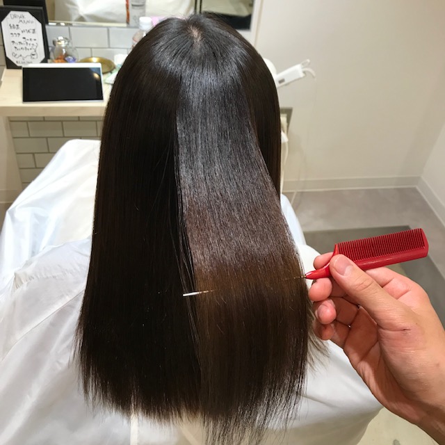 f:id:biyoulabo:20190408170325j:plain