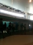 水族園の中の風景