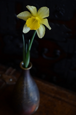 f:id:bizenwakakusa:20170324103631j:plain f:id:bizenwakakusa:20170324103631j:plain