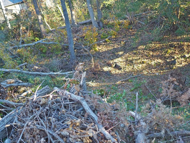 f:id:bizucafe:20191212074818j:image