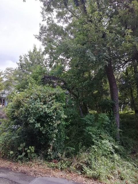 f:id:bizucafe:20191212075348j:image