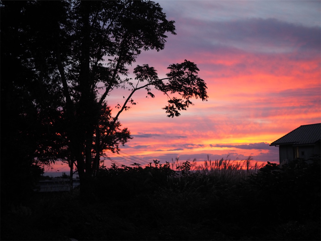 f:id:bizucafe:20210719102012j:plain