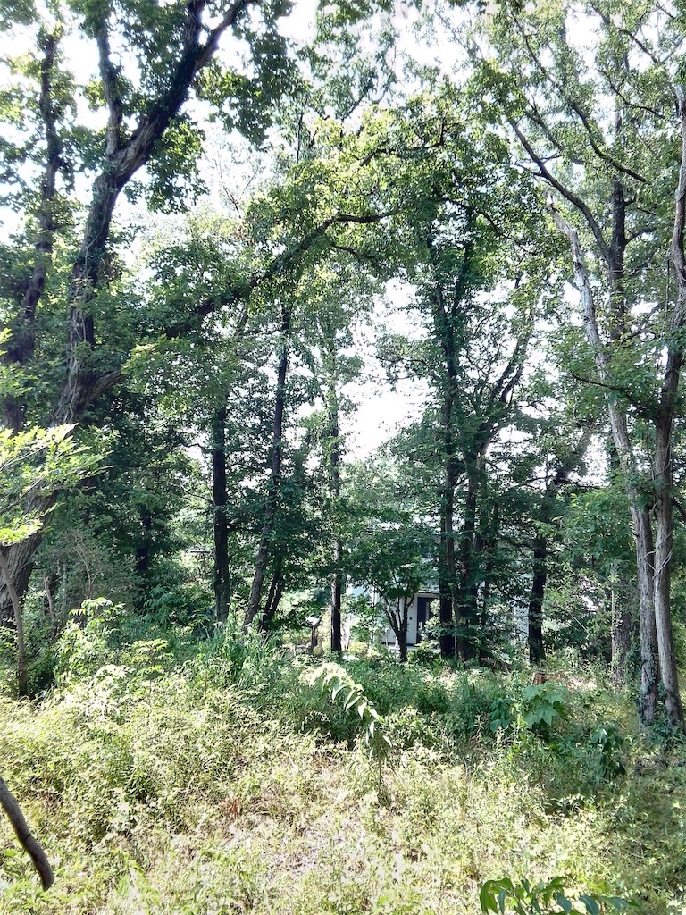 f:id:bizucafe:20210719102149j:image f:id:bizucafe:20210719102149j:image