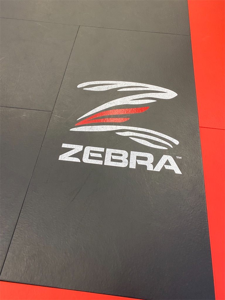f:id:bjj_maebashi:20210223181825j:image