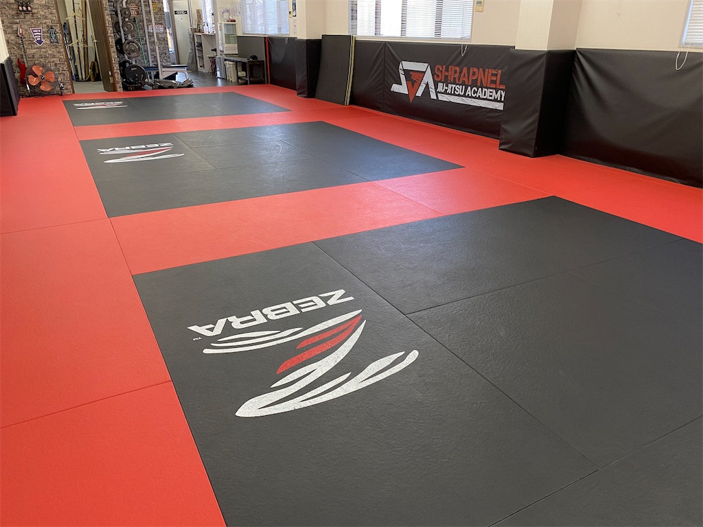 f:id:bjj_maebashi:20210223181840j:image