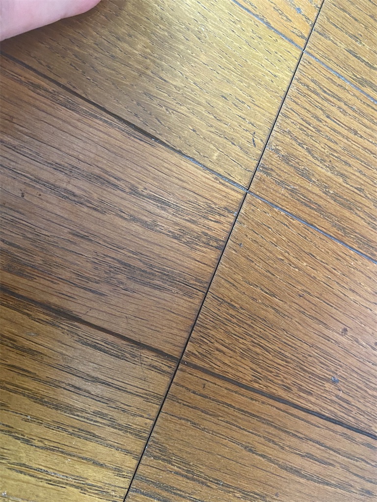 f:id:bjj_maebashi:20210303130032j:image