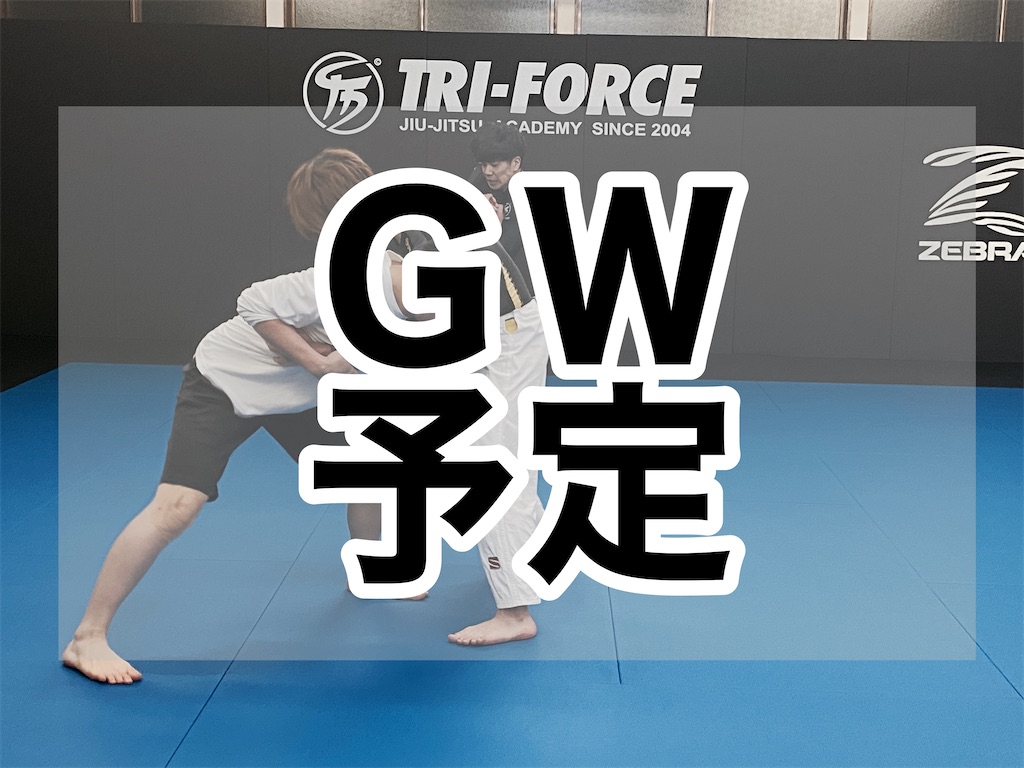 f:id:bjj_maebashi:20220427170832j:image