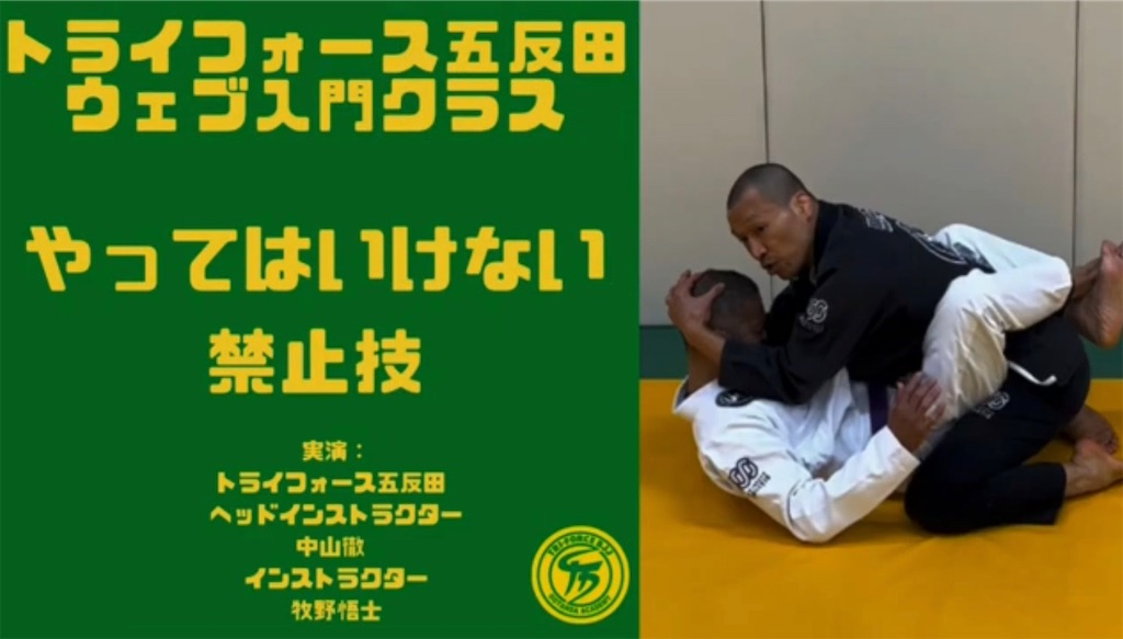 f:id:bjj_maebashi:20221114232018j:image