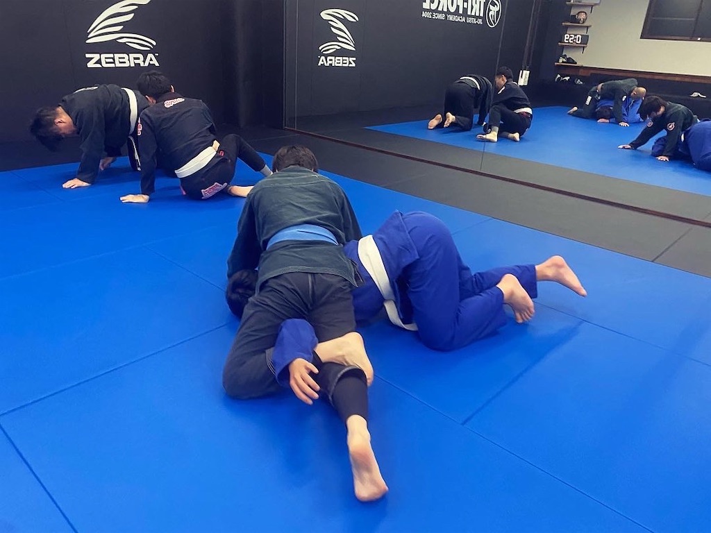 f:id:bjj_maebashi:20231117093711j:image