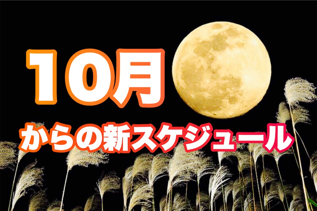 f:id:bjj_maebashi:20240929152731j:image