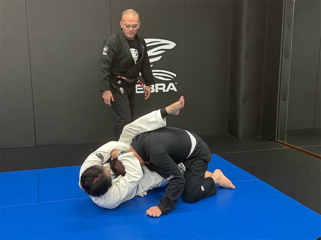 f:id:bjj_maebashi:20260216231233j:image