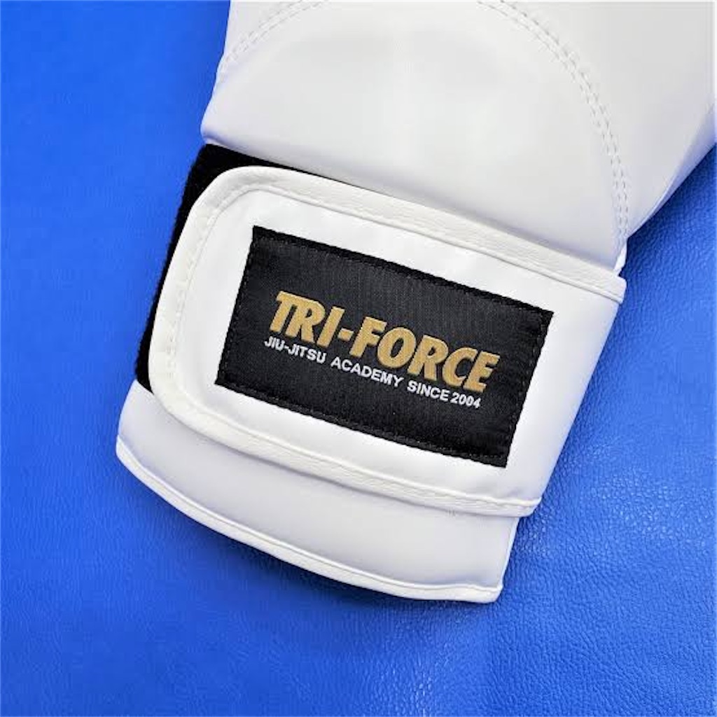 f:id:bjj_maebashi:20260328130345j:image