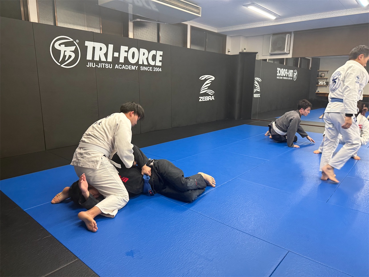 f:id:bjj_maebashi:20260919122806j:image f:id:bjj_maebashi:20260919122806j:image