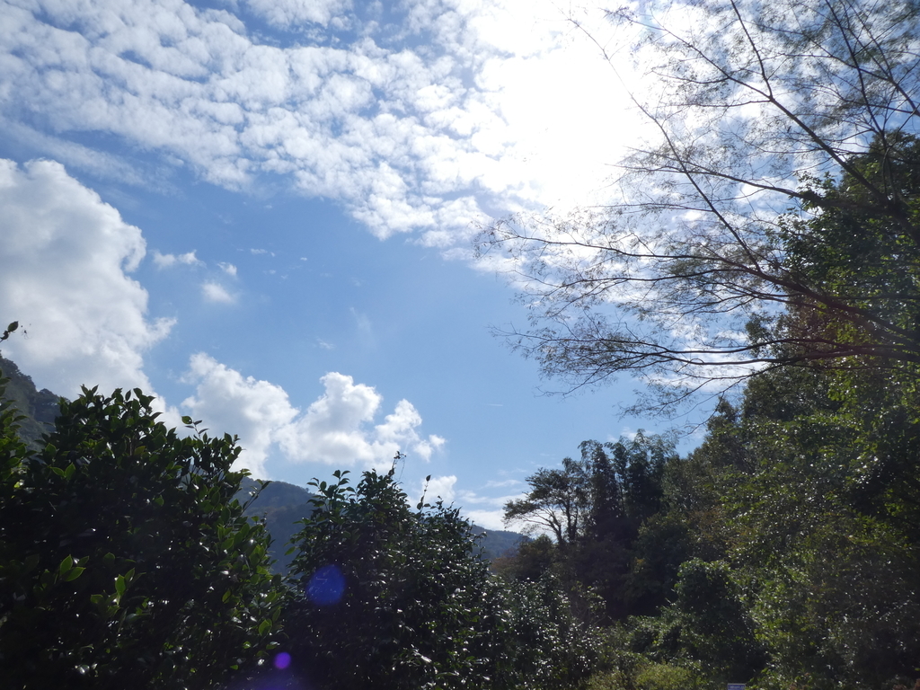 f:id:bk-pacha:20181016131307j:plain f:id:bk-pacha:20181016131307j:plain