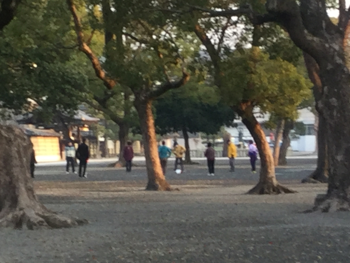 f:id:bkeita:20190327203055j:plain