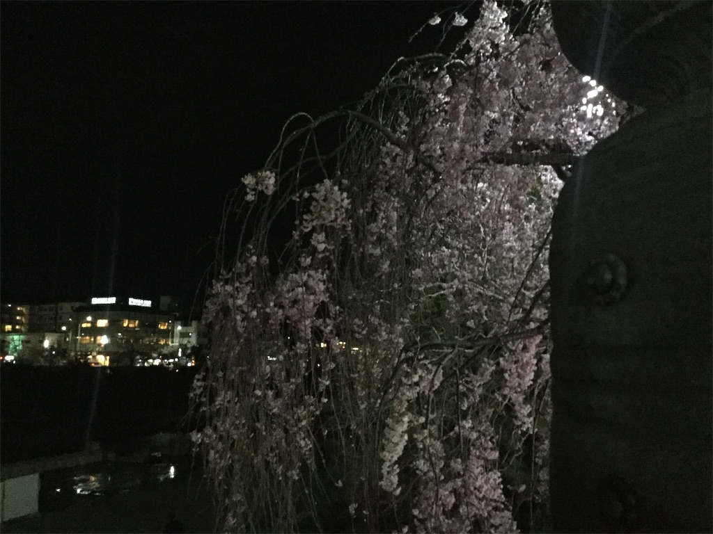 f:id:bkeita:20190410204211j:image