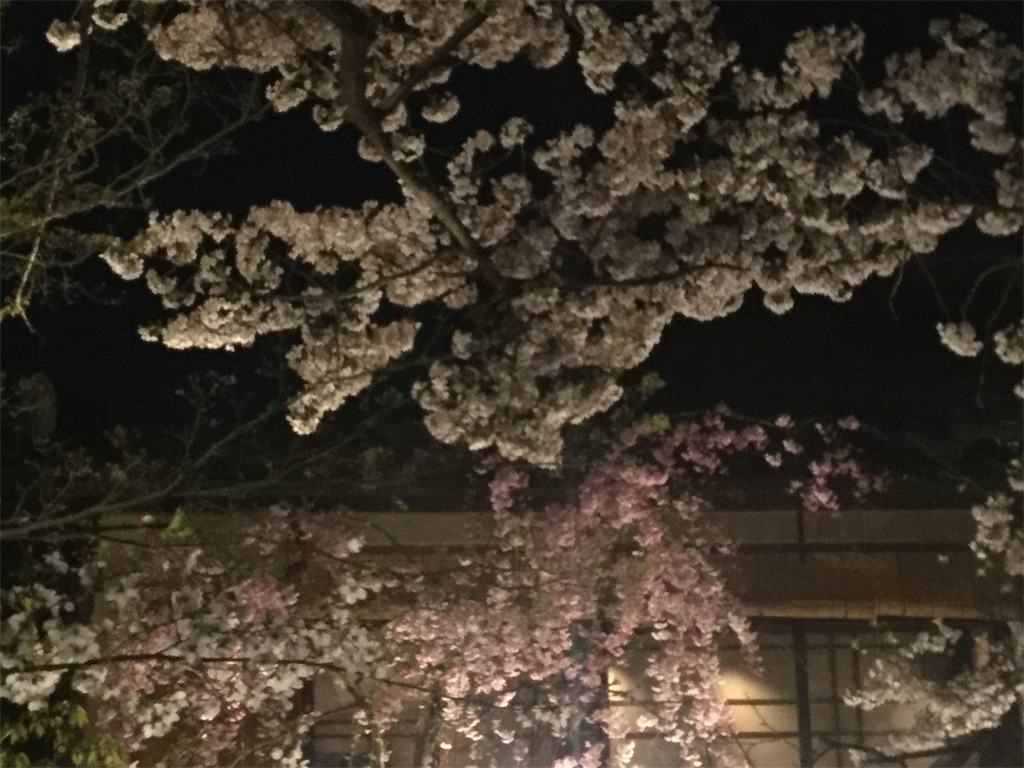 f:id:bkeita:20190410204442j:image
