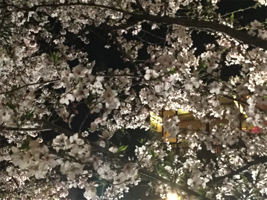 f:id:bkeita:20190410204659j:image