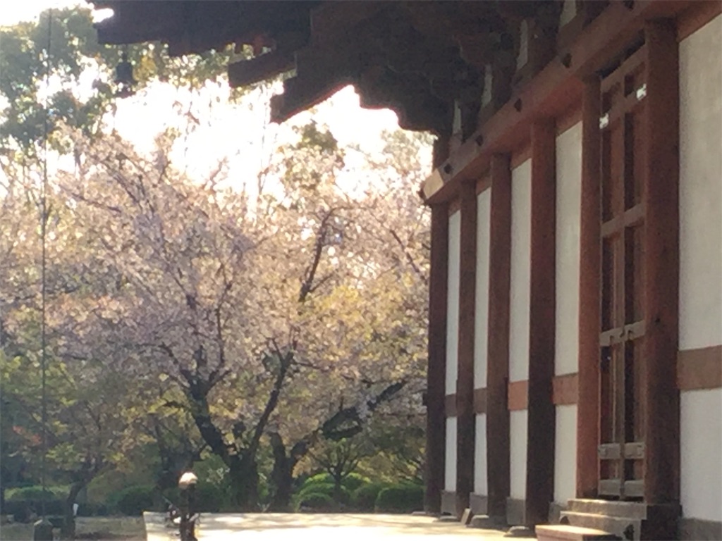 f:id:bkeita:20190415122655j:image