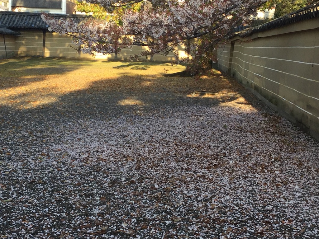 f:id:bkeita:20190415122717j:image