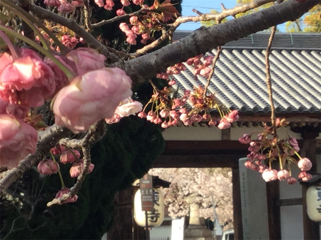 f:id:bkeita:20190415122721j:image