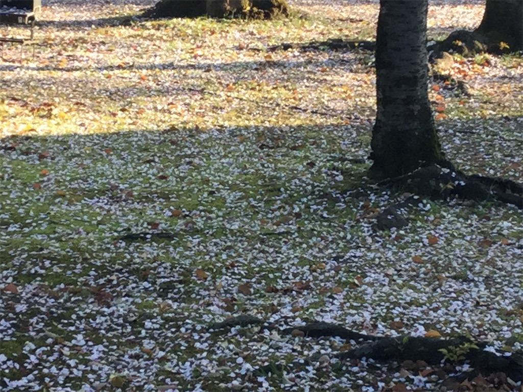 f:id:bkeita:20190415122742j:image